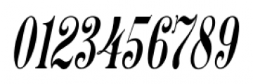 Belhampton Oblique Font OTHER CHARS