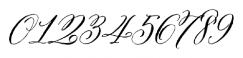 Belluccia Contextual Font OTHER CHARS
