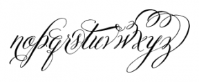 Belluccia Stylistic Font LOWERCASE
