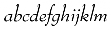 Bernhard Modern FS Italic Font LOWERCASE