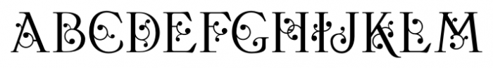 Bertolessi Regular Font UPPERCASE