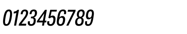 Belarius Sans Narrow Regular Oblique Font OTHER CHARS
