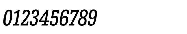 Belarius Serif Narrow Regular Oblique Font OTHER CHARS