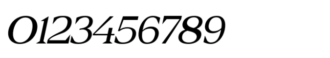 Belinzie Italic Font OTHER CHARS