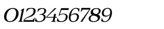 Belinzie Rough Italic Font OTHER CHARS