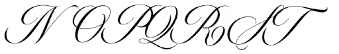 Bellisa Script Regular Font UPPERCASE