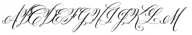 Belluccia Font UPPERCASE
