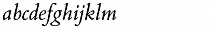 Bembo Book Pro Italic Font LOWERCASE