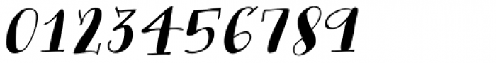 Bergamot Italic Font OTHER CHARS