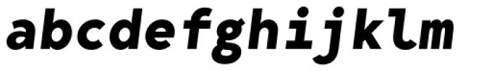Bergen Mono Bold Italic Font LOWERCASE