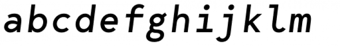 Bergen Mono Italic Font LOWERCASE