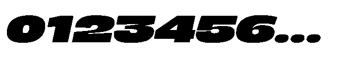 Berier Black Oblique Font OTHER CHARS