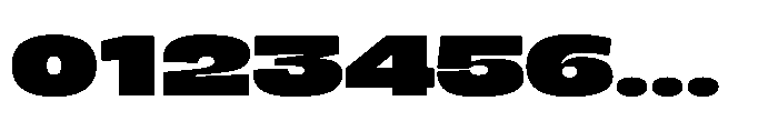 Berier Black Font OTHER CHARS