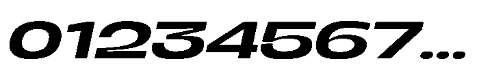 Berier Medium Oblique Font OTHER CHARS