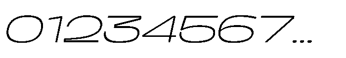 Berier Thin Oblique Font OTHER CHARS