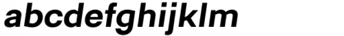 Berka Bold Italic Font LOWERCASE
