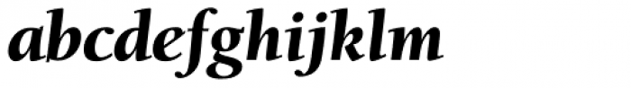 Berkeley Std Black Italic Font LOWERCASE