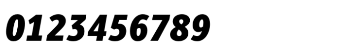 Berlingske Sans Condensed Std Black Italic Font OTHER CHARS