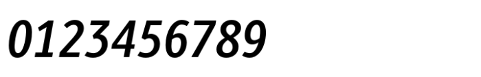 Berlingske Sans Condensed Std Demibold Italic Font OTHER CHARS
