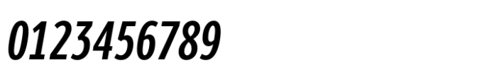 Berlingske Sans Extracondensed Std Demibold Italic Font OTHER CHARS