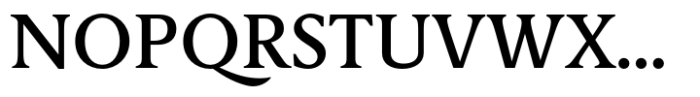 Berlingske Serif Text Std Medium Font UPPERCASE