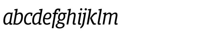 Berlingske Slab Display Std Italic FONT