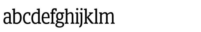 Berlingske Slab Display Std Regular FONT