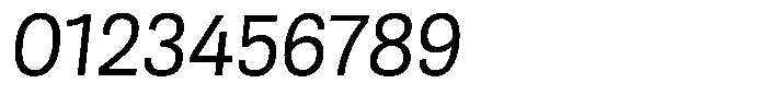 Berna Book Italic Font OTHER CHARS