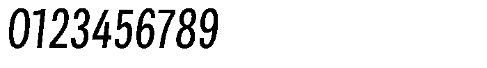 Berna Condensed Book Italic Font OTHER CHARS