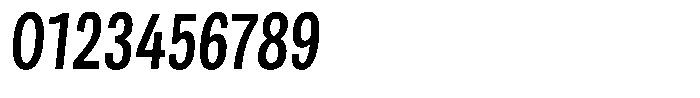 Berna Condensed Regular Italic Font OTHER CHARS