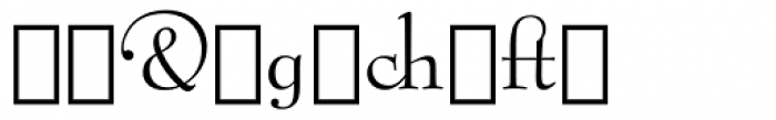 Bernhard Modern Alternate Font OTHER CHARS