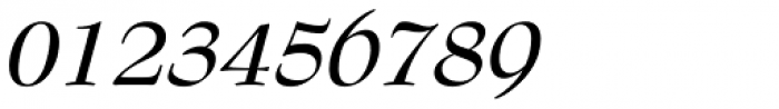 Bernhard Modern Bold Italic Font OTHER CHARS
