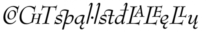 Bernhard Modern Italic Extension Font LOWERCASE