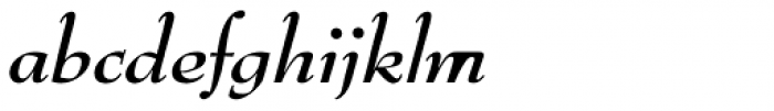 Bernhard Modern URW Bold Italic Font LOWERCASE