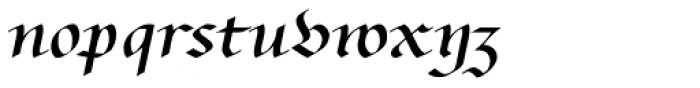Bernhardt Standard Pro Regular Font LOWERCASE