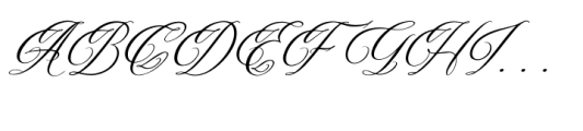 Berthaleya Ferbonitze Italic Font UPPERCASE