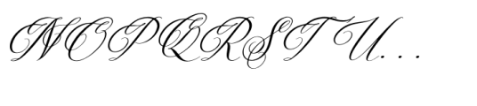 Berthaleya Ferbonitze Italic Font UPPERCASE