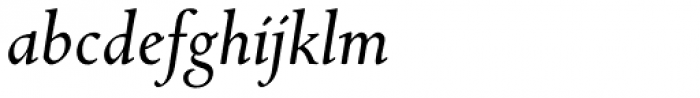 Bertham Pro Italic Font LOWERCASE