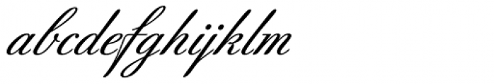 Berthold-Script BQ Medium Font LOWERCASE