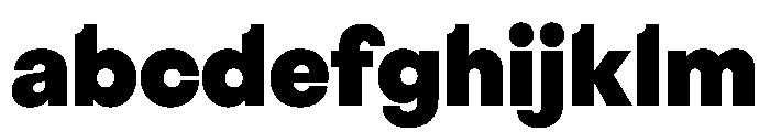 BestGroteskTrialWeb Black FONT