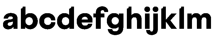 BestGroteskTrialWeb Bold FONT