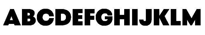 BestGroteskVARTrialWeb Black Instance Font UPPERCASE