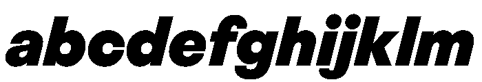 BestGroteskVARTrialWeb BlackItalic Instance FONT