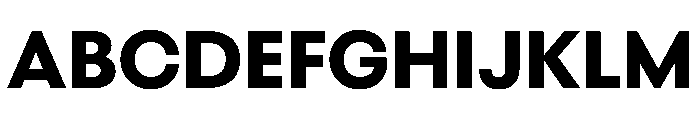 BestGroteskVARTrialWeb Bold Instance Font UPPERCASE
