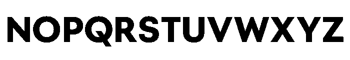 BestGroteskVARTrialWeb Bold Instance Font UPPERCASE