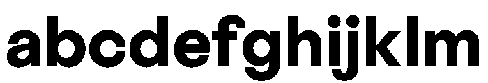 BestGroteskVARTrialWeb Bold Instance FONT