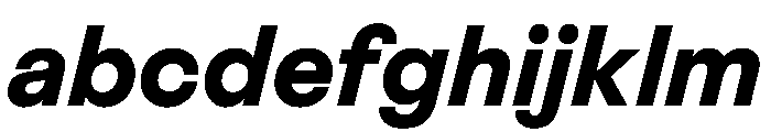 BestGroteskVARTrialWeb BoldItalic Instance FONT
