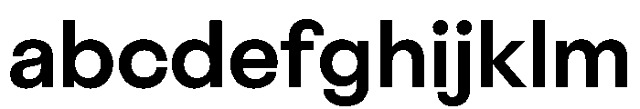BestGroteskVARTrialWeb Demi Instance FONT