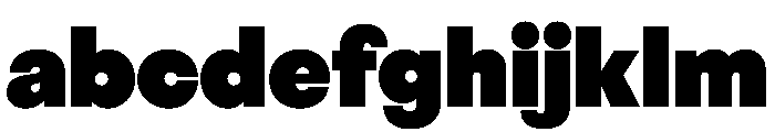 BestGroteskVARTrialWeb Poster Instance FONT
