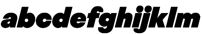 BestGroteskVARTrialWeb PosterItalic Instance FONT
